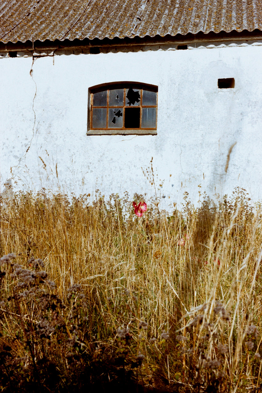 Leica CL med Voigtländer linse