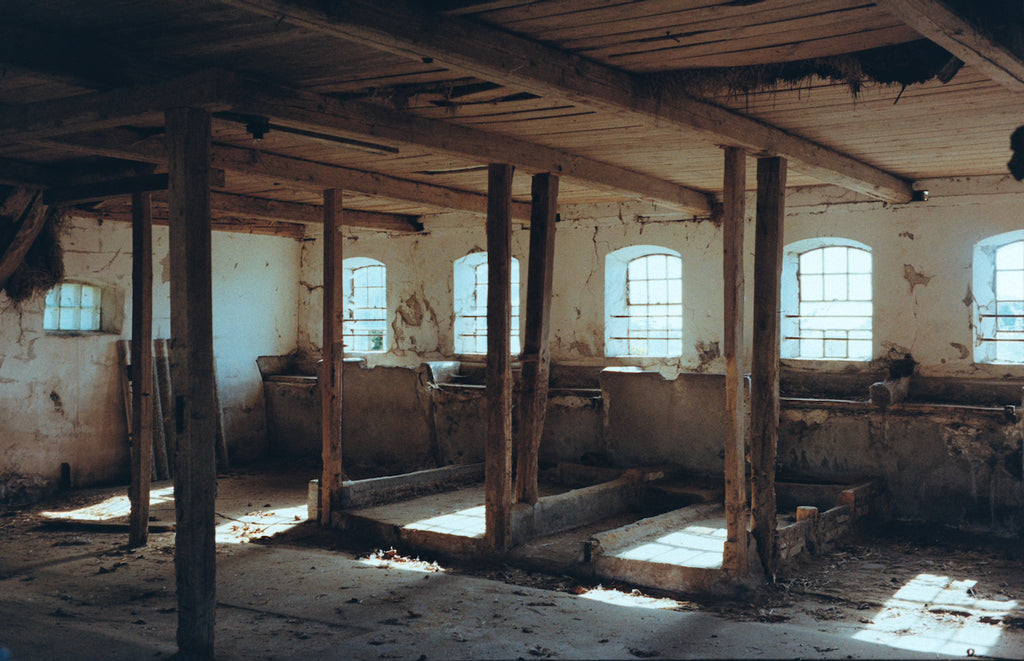 Leica CL med Voigtländer linse