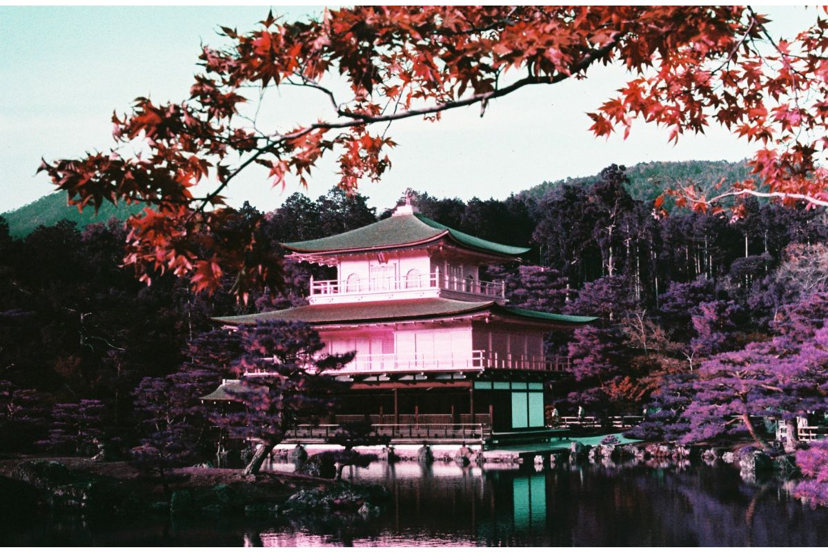 LomoChrome Purple Pétillant 35 mm ISO 100–400
