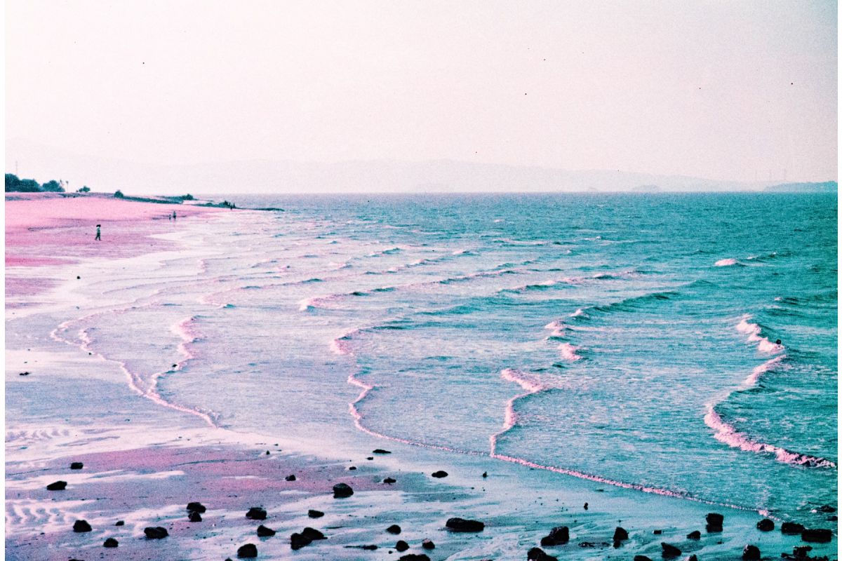 LomoChrome Purple Pétillant 35 mm ISO 100–400