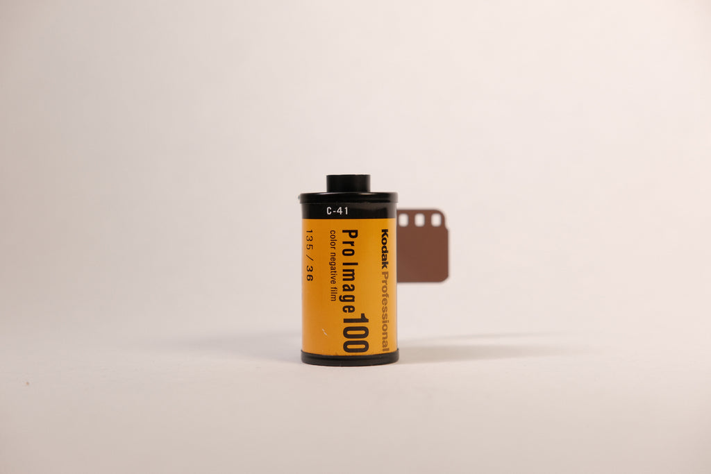 Kodak Pro Image 100