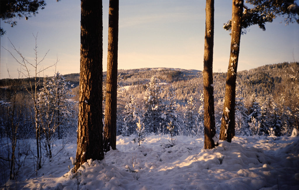 Kodak Ektachrome E100